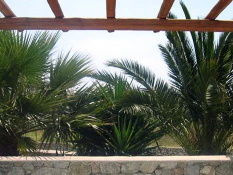 Giannoulaki Hotel Mykonos Town Exteriör bild
